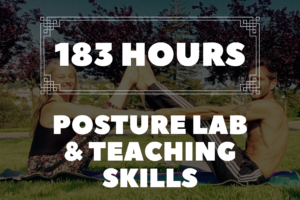 330 hour ytt certification