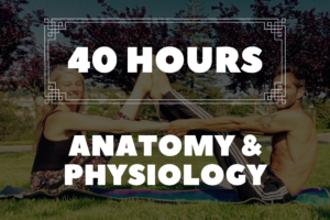 330 hour ytt certification
