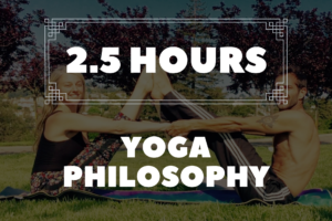 330 hour ytt certification